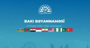 D-8 Media Forumunda Bakı Bəyannaməsi imzalandı Xəbər şəkili