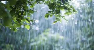 Salab leysan olacaq, qar yağacaq