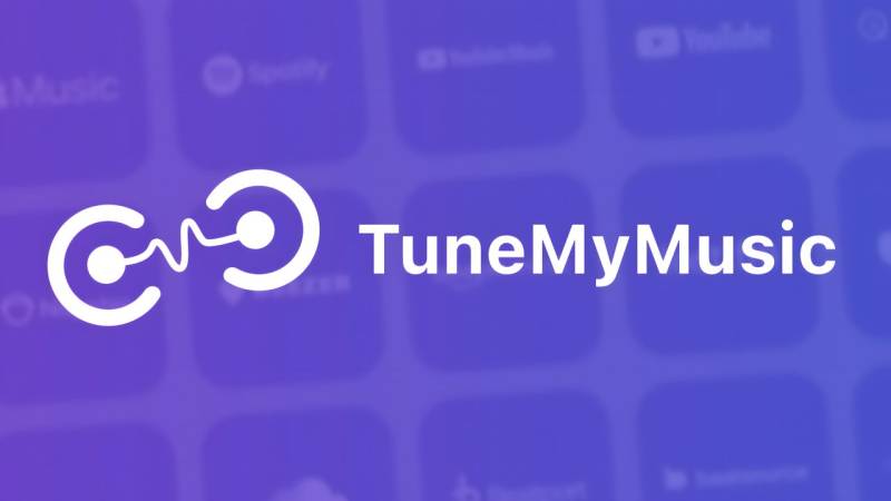 Spotify Rəqib Platformalardan Pleyistlərin Daxili Köçürülməsi Funksiyasını Aktivləşdirdi