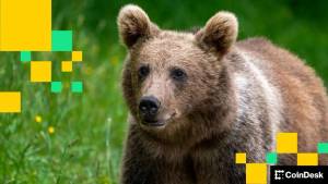 QCP Xəbərdarlığı: Bitkoin Bazarı Həddindən Artıq Ayıların Nəzarətində - Hədəflər 91K və 72K Xəbər şəkili