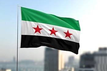 Suriya təhlükəsizlik qüvvələri Əs-Suveydada bir neçə hücumu dəf edib