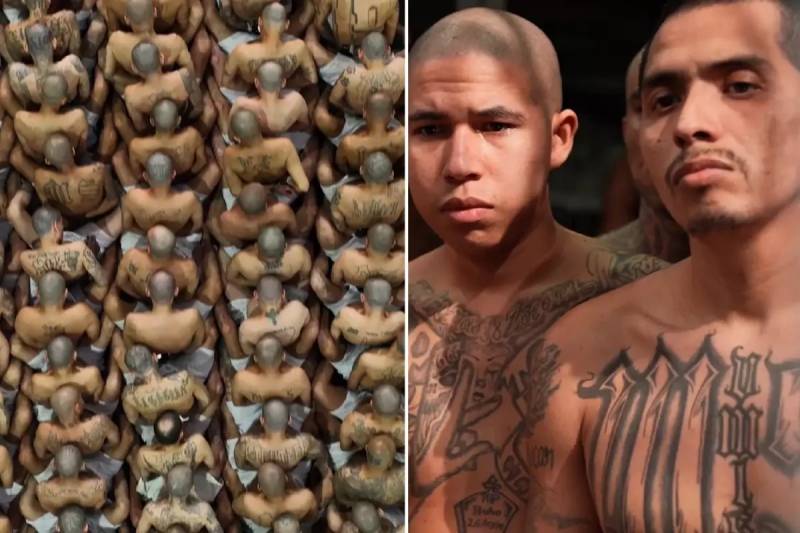 El Salvador Prezidenti Nayib Bukele CECOT Həbsxanasından Görüntülər Paylaşaraq Cinayətkarlıqla Mübarizə Mesajını Sərtləşdirdi