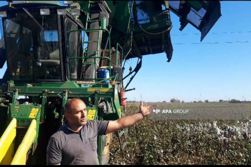 Biləsuvarda pambıq sahəsində yanğın baş verib - FOTO