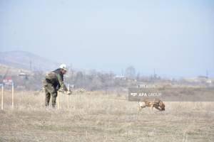 Xarici dövlətlərdə ali təhsil almış şəxslər üçün peşə tanınması imtahanı keçiriləcək Xəbər şəkili
