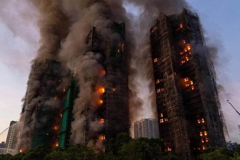 Honkonqda güclü yanğın zamanı 90-dan çox ev heyvanı xilas edilib