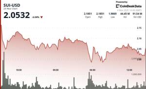 DeFi Sektorunda 116 Milyon Dollarlıq Haker Hücumu SUI Tokeninin Qiymətini Aşağı Salıb Xəbər şəkili