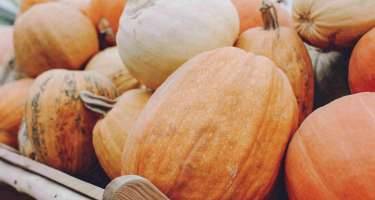 Boranının sağlamlığa xeyirləri