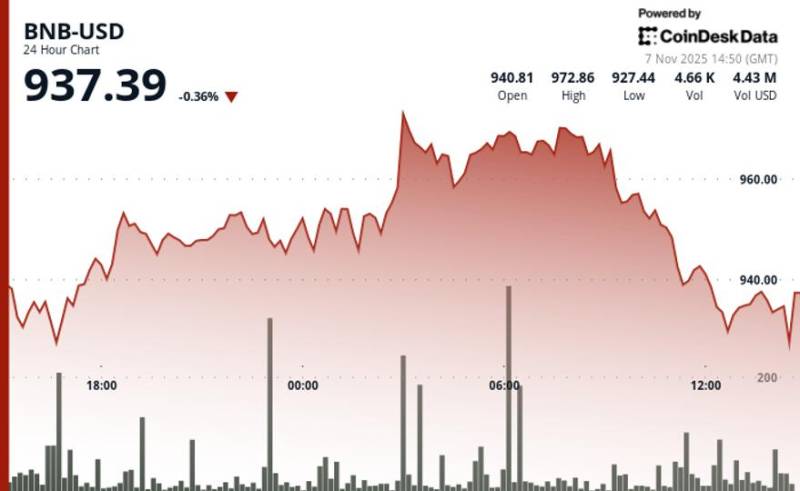 Rəqəmsal bazarlarda likvidlik təzyiqləri: BNB-nin dəyəri 930 dollardan yuxarı əsas dəstək səviyyəsinə düşdü