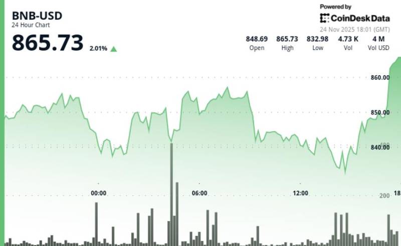 BNB Kriptovalyutasının 860 Dolların Üzərində Bərpası: Treydlər 870 Səviyyəsini İzləyir
