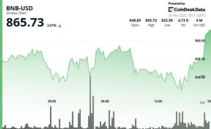 BNB Kriptovalyutasının 860 Dolların Üzərində Bərpası: Treydlər 870 Səviyyəsini İzləyir