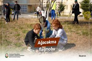 Prezident TDT-yə üzv ölkələrin QHT-lərinin Həmrəylik Forumunun iştirakçılarına müraciət ünvanlayıb