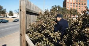 Google Gemini Süni İntellekti Qalmaqallı Şəkillər Yaratdı: Moderasiya Problemləri Xəbər şəkili