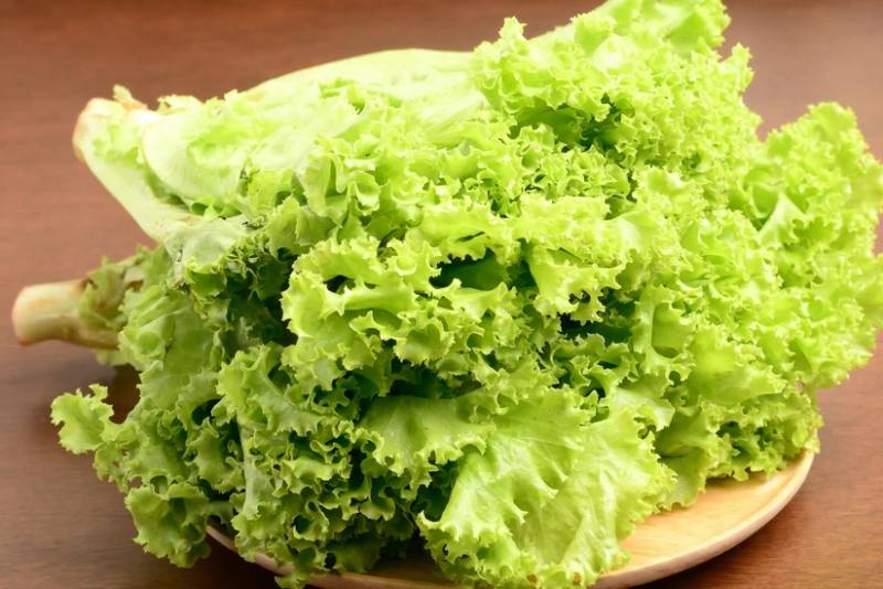 Azərbaycan Almaniyadan kahı tədarükünü bərpa edib