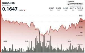 Dogecoin ETF-in ABŞ-da Buraxılma Ehtimalı: DOGE-nin Texniki Analizi Hazırda Mənfi Trend Göstərir Xəbər şəkili