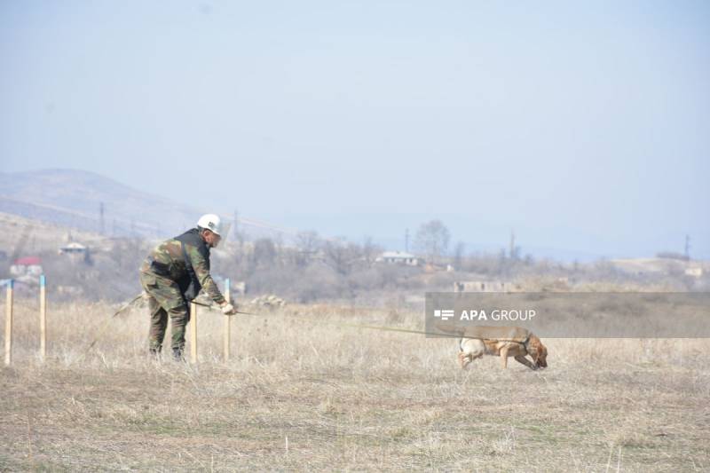 Minatəmizləyənlərə təlimlərin keçirilməsi Qaydası təsdiqlənib
