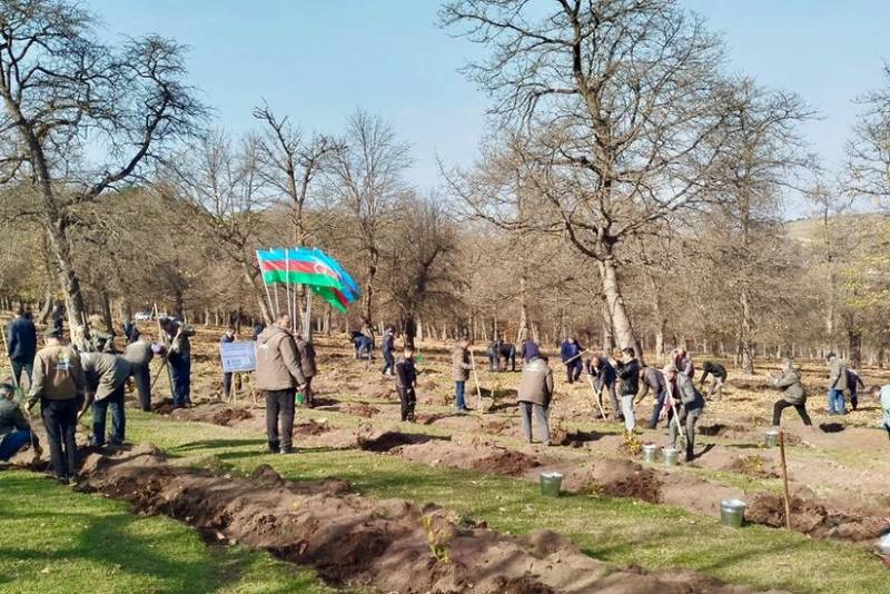 Zəfər Günü ilə əlaqədar meşə fondu torpaqlarında 30 mindən artıq ağac əkilib