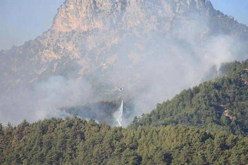 Azərbaycan-Ermənistan sərhədində baş verən yanğın söndürülüb