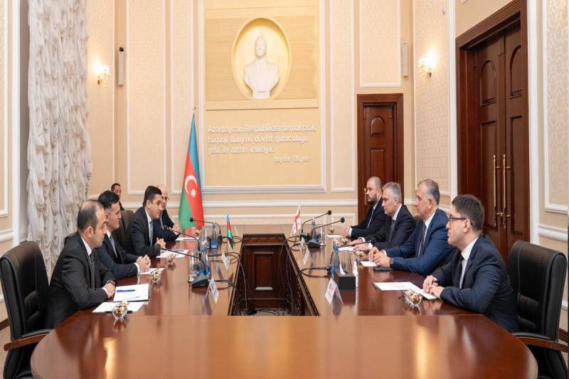 Gürcüstanın ədliyyə naziri Azərbaycana gəlib