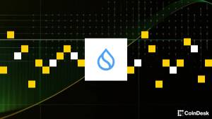 Sui, “Bridge” Platforması Vasitəsilə USDsui Yerli Stabilkoinini Təqdim Etdi