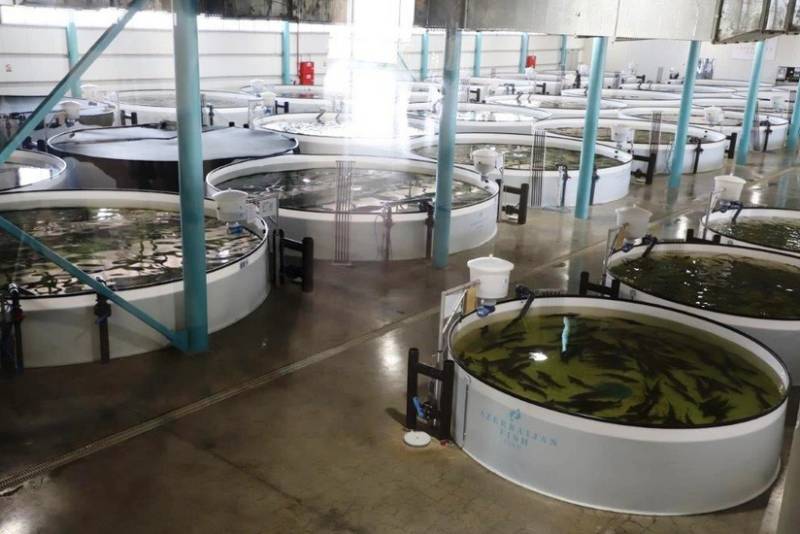 Azərbaycan Təcrübəvi Dəniz Balıqartırma Zavodu təşkilati-hüquqi formasını dəyişir