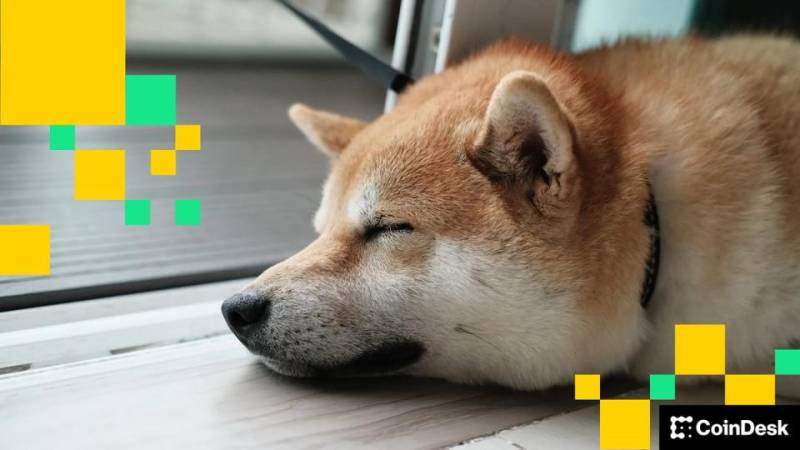 Memecoin DOGE, Əsas Kriptovalyutaları Ötüb Keçdi: Ağ Ev Elon Maskın D.O.G.E. Təşəbbüsünün Ləğv Edildiyini Açıqladı