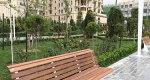 Bakıda parkda meyit tapıldı Xəbər şəkili