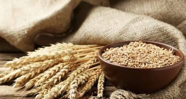 Azərbaycana buğda idxalı kəskin artıb