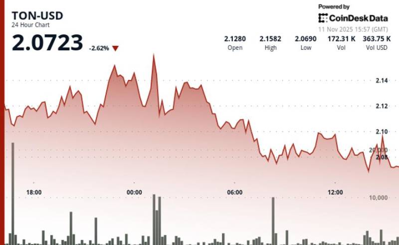 Tonkoin ($2.07) Əsas Dəstək Səviyyəsinə Düşdü: Satış Təzyiqi Artır