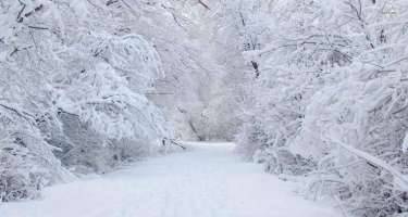 Azərbaycanda bu ərazilərdə qar yağır - Faktiki hava