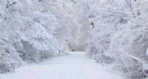 Azərbaycanda bu ərazilərdə qar yağır - Faktiki hava