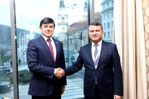 Azərbaycan, Özbəkistan və Qazaxıstan diasporlarının görüşlərinin keçirilməsi barədə razılıq əldə olunub Xəbər şəkili