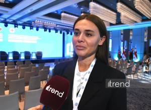 Azərbaycan və Gürcüstan media sahəsində əməkdaşlığı yeni səviyyəyə çatdıra bilər - Ramilə Əliyeva (ÖZƏL) Xəbər şəkili