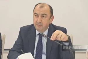 Vüqar Kərimov: Azad edilmiş ərazilərdə 132 hektar yeni yaşıllıq sahəsi salınıb Xəbər şəkili