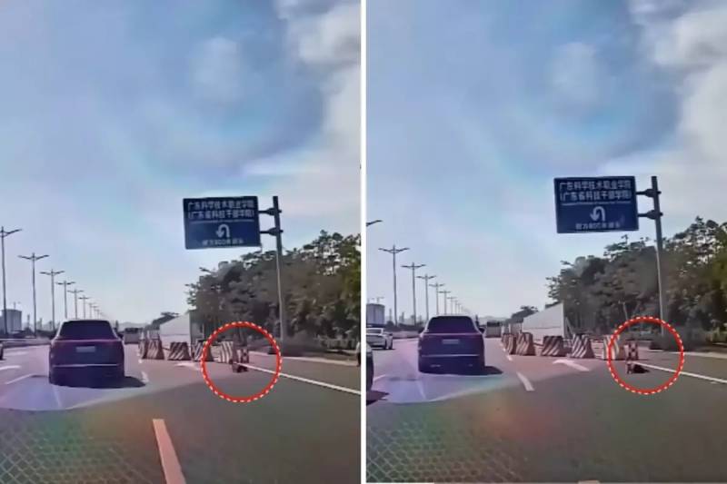 Çində Sürücü Körpəni Avtomagistralda Böyük Təhlükədən Necə Xilas Etdi Xəbər şəkili