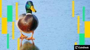 Kriptovalyuta Bazarı Təhlükə Altında: Amerikanın Kripto Xülasəsi Xəbər şəkili